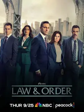  Закон и порядок 